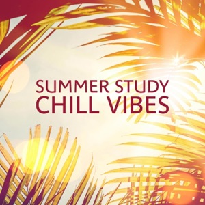 Summer Study & Chill Vibes