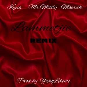 Lammetjie (feat. Mr Moody, Maerick & Kezia) [Remix] - Single