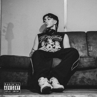 LVQMD - Single