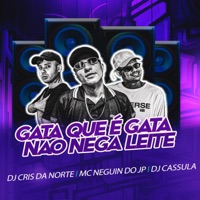 Gata Que É Gata Não Nega Leite - Single - DJ Cassula, DJ Cris da Norte & Mc Neguin do JP