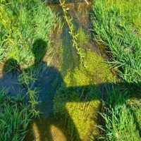 I Only Want U - Single - Joykey