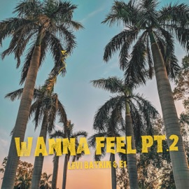 Wanna Feel, Pt. 2 Levi Batkin & E1 (3X3)