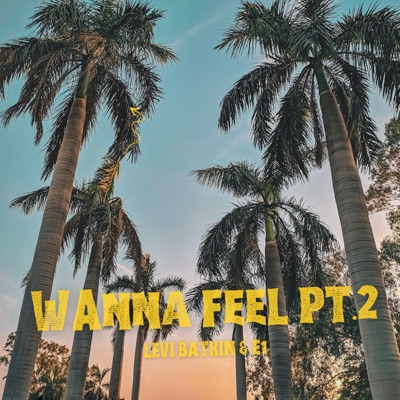 Wanna Feel, Pt. 2 - Single