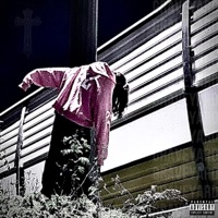 Graveyard Members (feat. Shiny Ruby) - Single - Leg10N