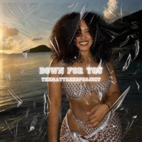 Down For You (Attachments) (feat. Matt Reed) [Radio Edit] - Single - TheMattReedProject