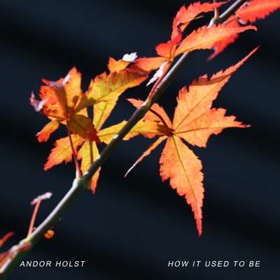 How It Used To Be - Single