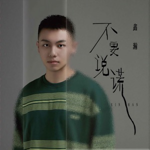 不要说谎 - Single