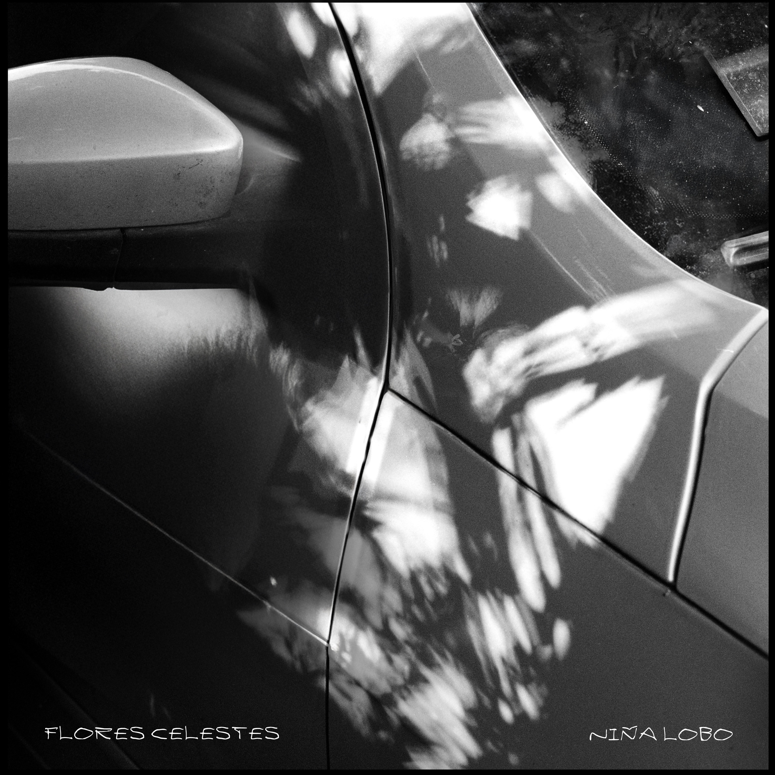 Flores celestes - Single