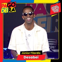 Desabei - Single - Pagodeira & Júnior Filardis