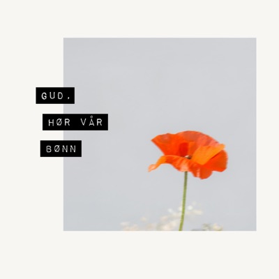 Gud, Hør Vår Bønn (Live) - Single
