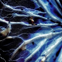 Faded Colours - Single - KEEGO, dollbreaker & frdm.wav