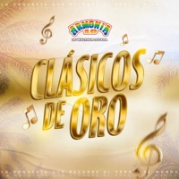Clásicos de Oro - Armonía 10