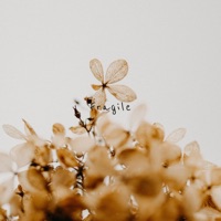 Fragile - Single - Hazue