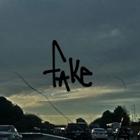 fake - Single - Lil' Debbi