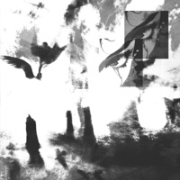 Distintas Visiones - Single - Sosa Carter & Ingenio