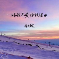 赐我不爱你的理由 - Single - 徐靖雯