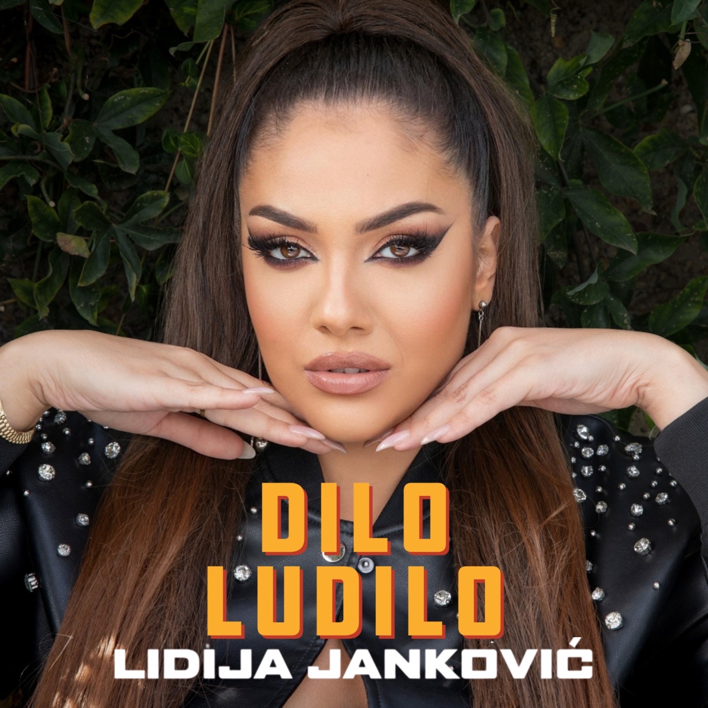Dilo Ludilo - Single