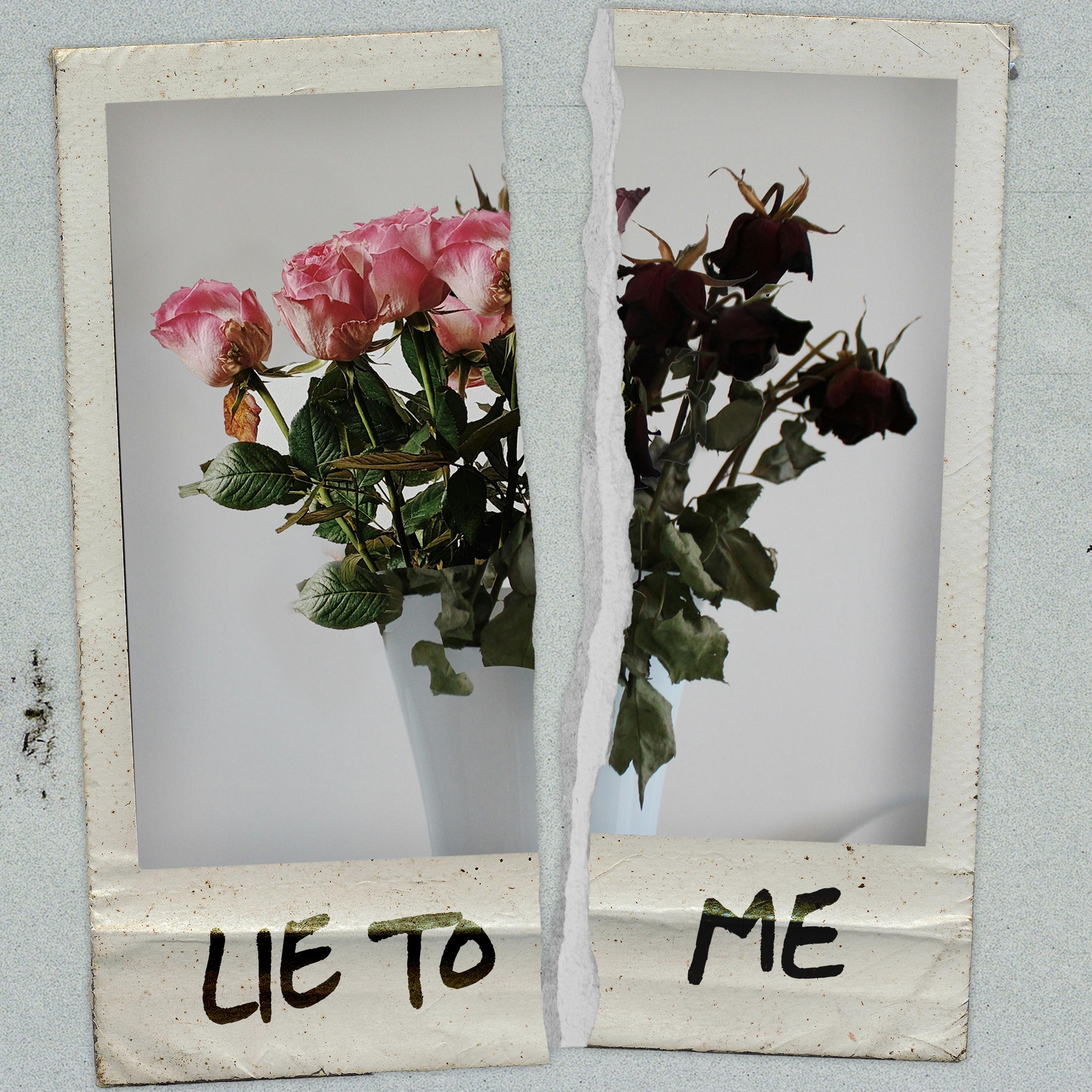 Lie To Me - Single