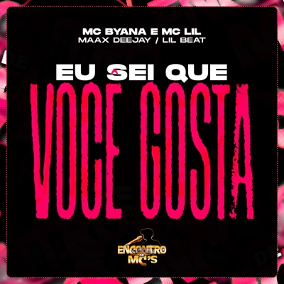 Eu Sei Que Você Gosta - Single