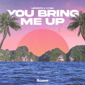 You Bring Me Up artwork