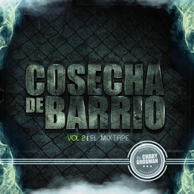 Cosecha de barrio, Vol. 2