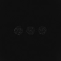 12 шагов к тебе - TRITIA