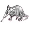 Armadillo with a Doobie - RATTY DISHES lyrics