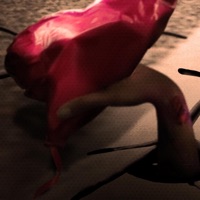 Love of the Paper - Single - Lottombk