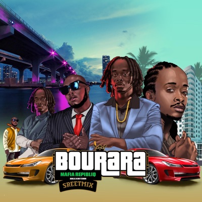 Bourara Streetmix