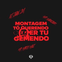 Montagem Tô Querendo Ver Tu Gemendo - Single - Mc Magrinho & Mc Mary Maii