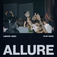 In My House — LEBARON JAMES