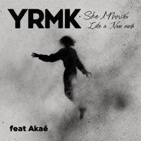 She Moves Like a New Earth (feat. Akaé) - Single - YRMK