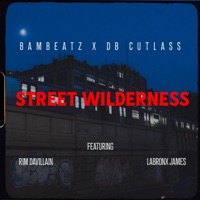 Street Wilderness (feat. Rim & LaBronx James) - Single - Bambeatz & DB Cutlass