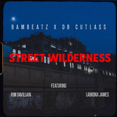 Street Wilderness (feat. Rim & LaBronx James) - Single