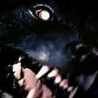 D.O.G. (feat. Yxng Demon) - Single - Xoo