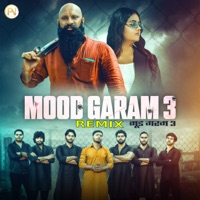 Mood Garam 3 (Remix) - Single - Preet Nagar