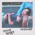 Picture Perfect