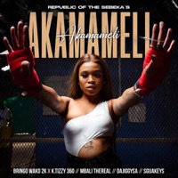 AKAMAMELI (feat. Bringo wako 2k, Mbali thereal, Dajiggysa & Sgijakeys) [Radio Edit] - Single - K.tizzy