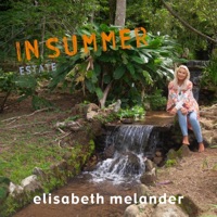 In Summer (Estate) (feat. Adriano Souza, Cesar Machado, Sergio Barroso & Arnaldo DeSouteiro) - Single - Elisabeth Melander