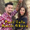 Pori Tula Hanin Ghara - Single