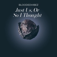 Just Us, Or So I Thought - Single - BloodedVibez