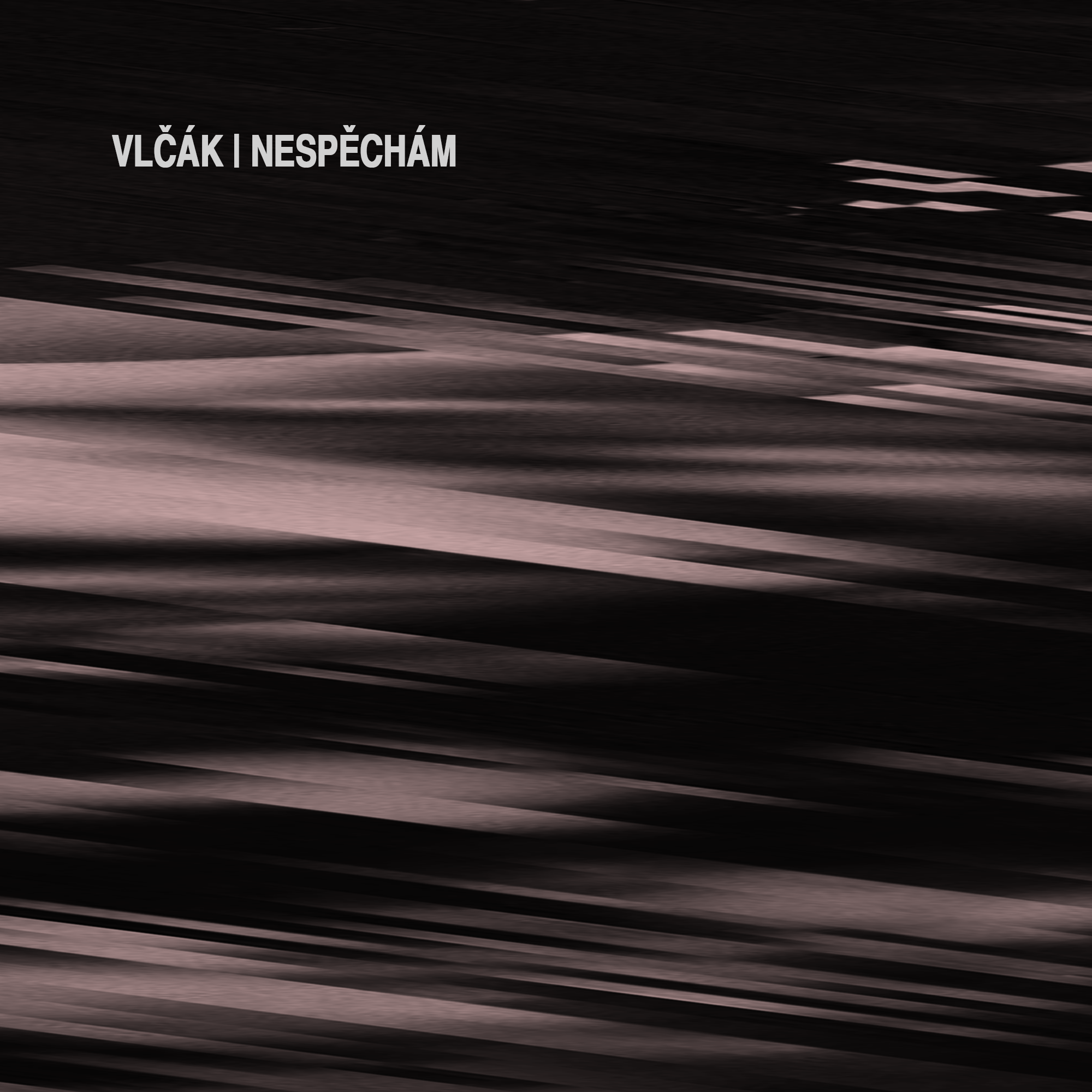 Nespěchám - Single