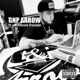 Its Just Different GNP Arrow