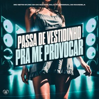 Passa De Vestidinho Pra Me Provocar - Single - mc Netin NT, Mc GH do Mandelao & DJ NT Original do Mandela