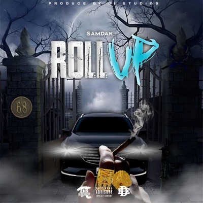 Roll Up (feat. SamDan) - Single