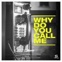 Why Do You Call Me (Captain Coconut Full Vocal Mixes) - Single - Horny United, Captain Coconut & Irvin Doomes