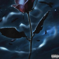 New me - Single - Xrlx