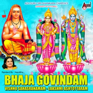 Bhaja Govindam Vishnu Sahasranamam-Nanditha