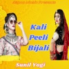 Kali Peeli Bijali - Single