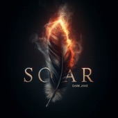 Soar artwork